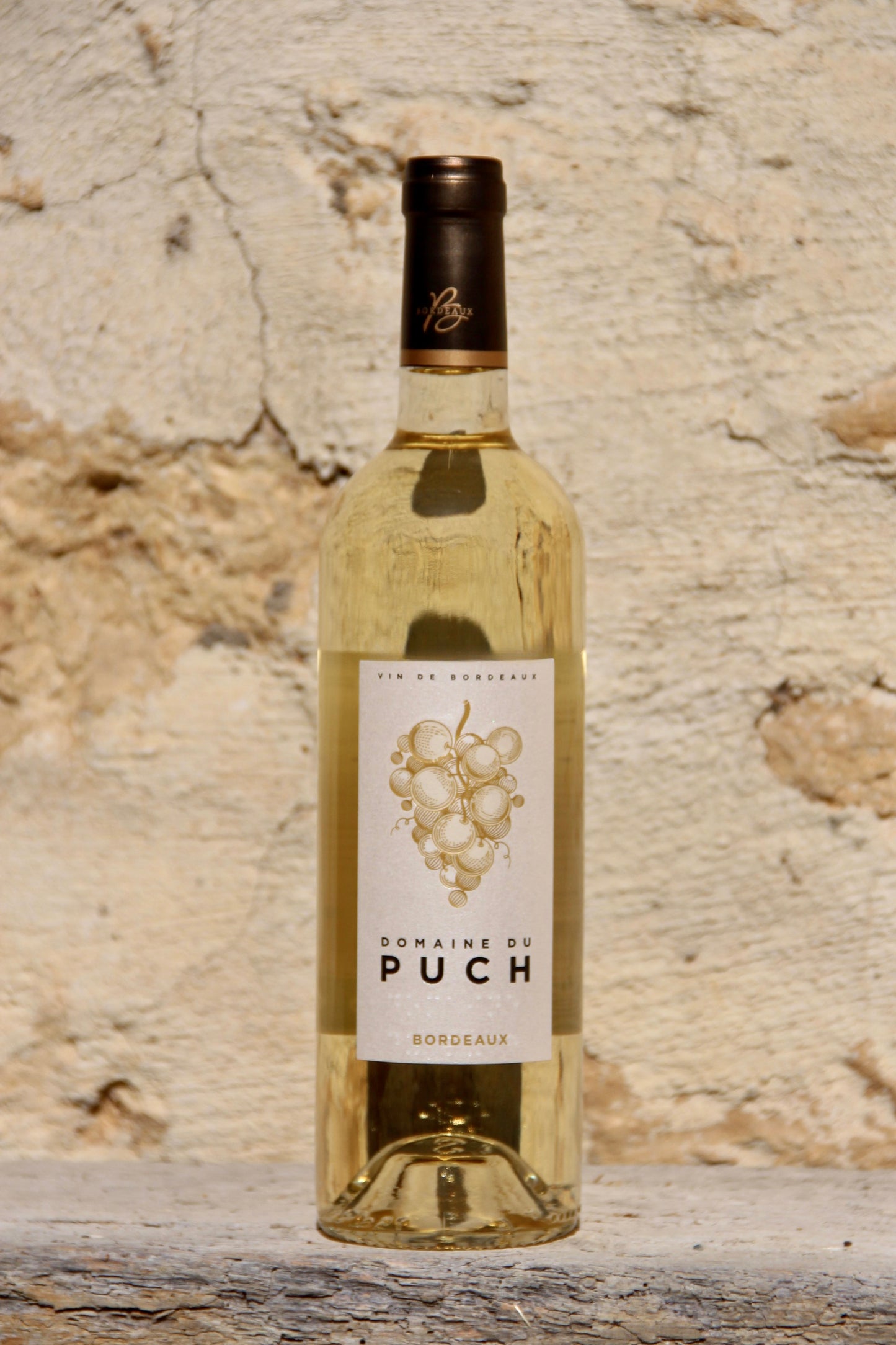 Domaine du Puch, Blanc Sec