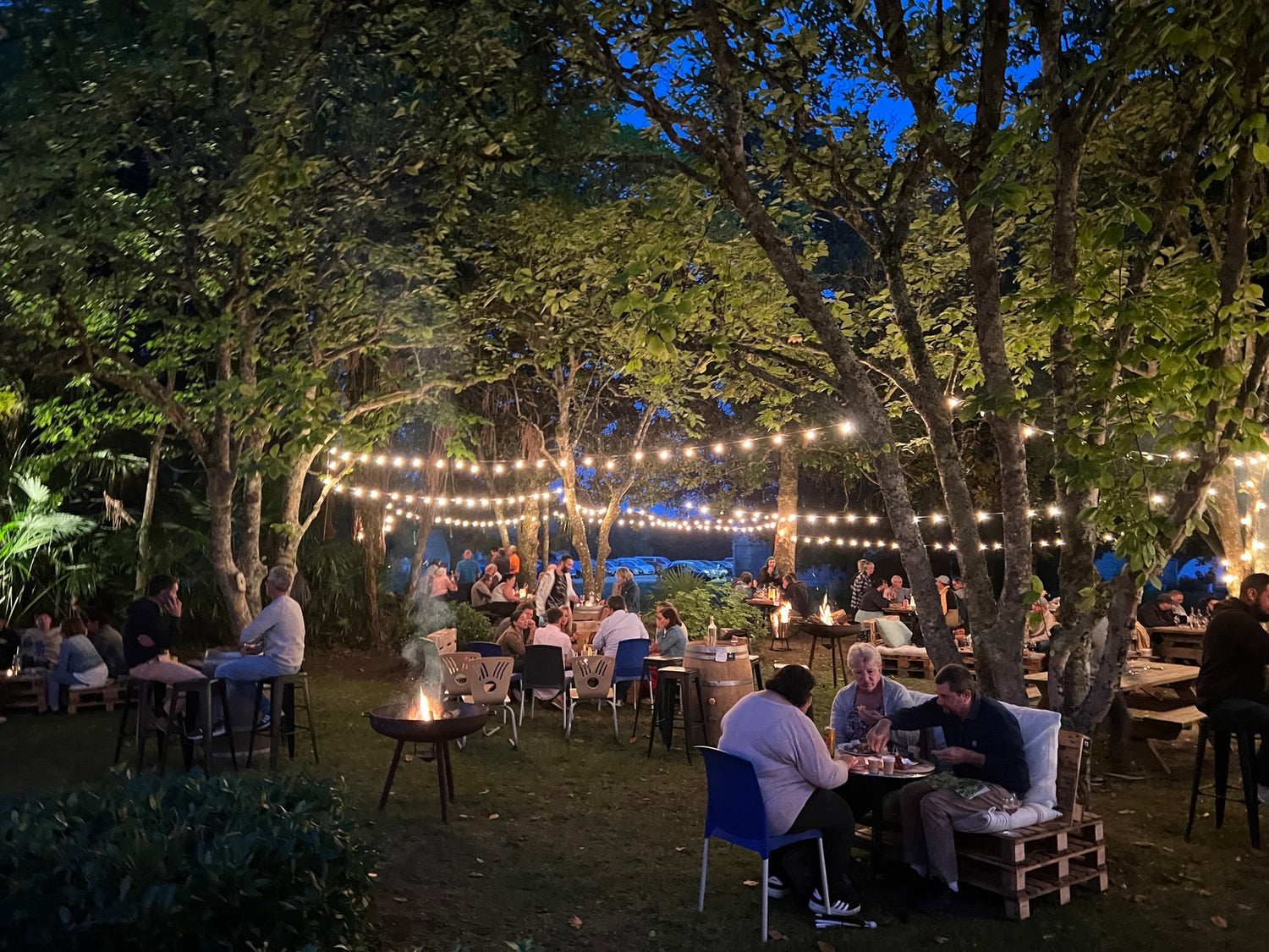 Photo de la soirée fête des vendanges, guinguette dans le parc du Puch, braseros et talets chaleureuses et joyeuses avec des musiciens.